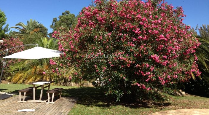 Image No.13-5 Bed Villa for sale