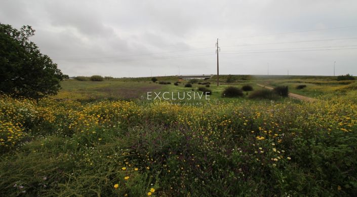 Image No.14-Plot for sale