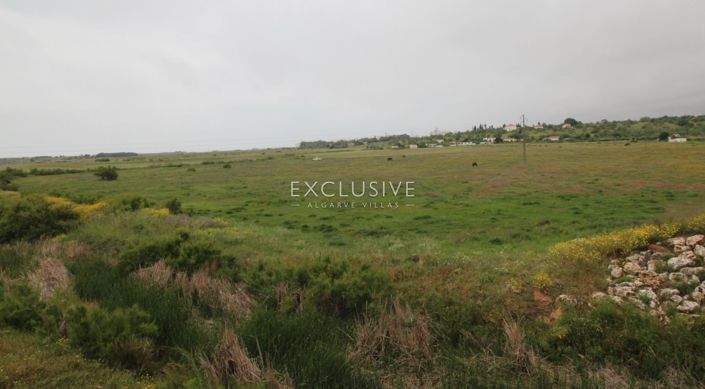 Image No.7-Terrain à vendre à Silves