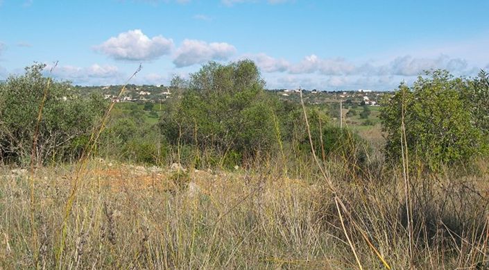 Image No.1-Plot for sale