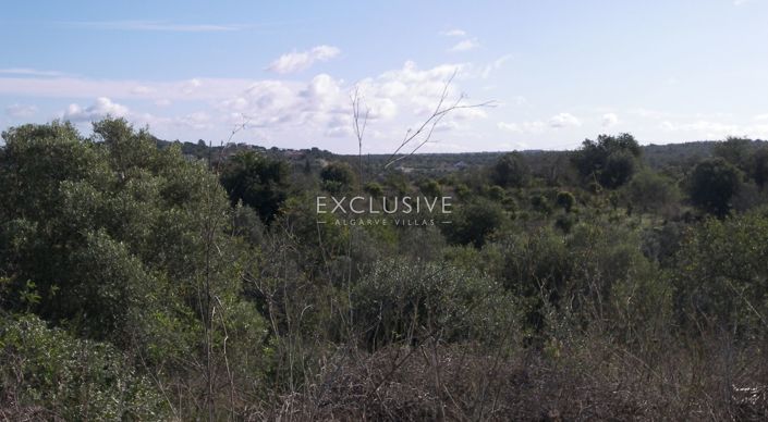Image No.3-Terrain à vendre à Silves