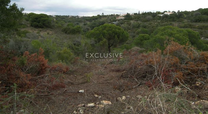 Image No.6-Terrain à vendre à Silves