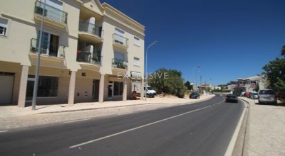 1 - Loule, Plot