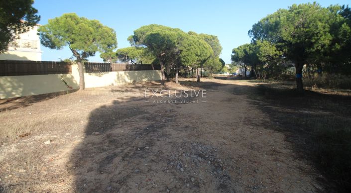 Image No.2-Plot for sale