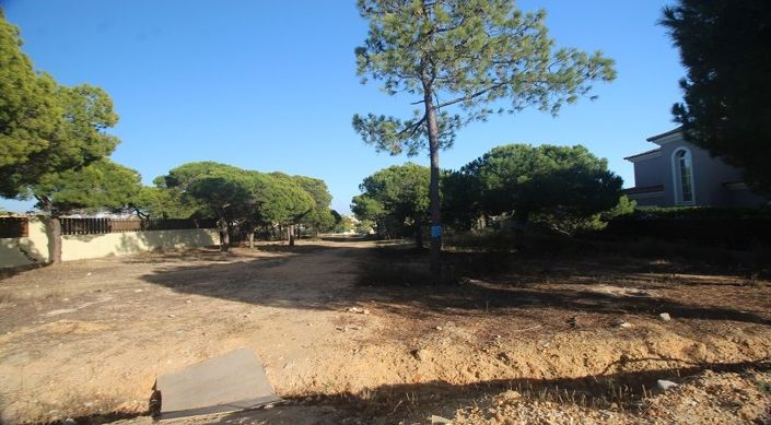Image No.8-Terrain à vendre à Loule