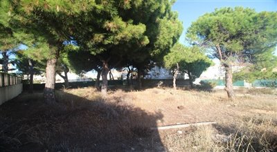 1 - Loule, Terrain