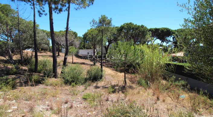 Image No.1-Plot for sale