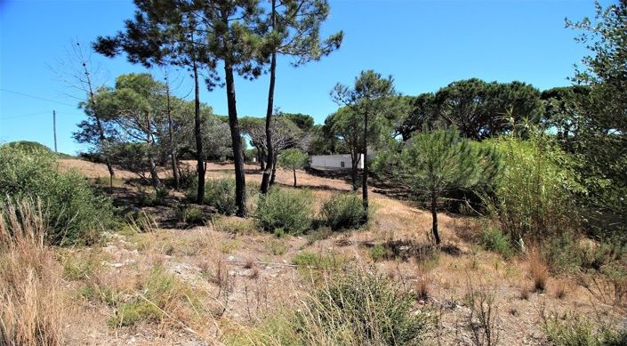 Image No.12-Terrain à vendre à Loule