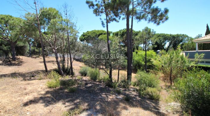 Image No.2-Terrain à vendre à Loule