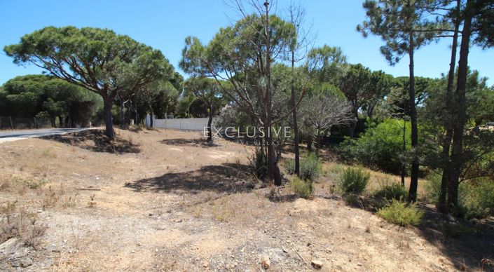 Image No.3-Terrain à vendre à Loule