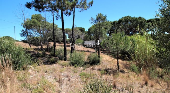 Image No.6-Terrain à vendre à Loule