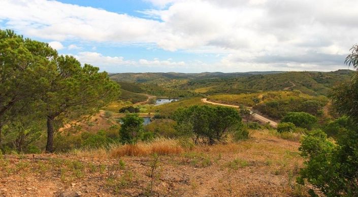 Image No.17-Terrain à vendre à Lagos