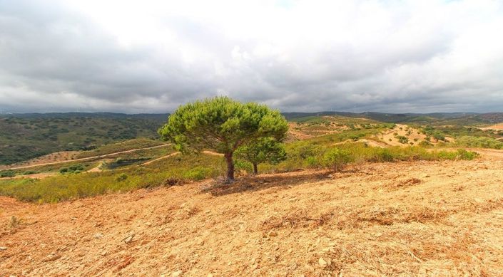 Image No.18-Terrain à vendre à Lagos