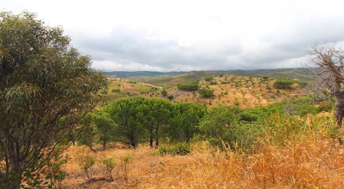 Image No.2-Terrain à vendre à Lagos