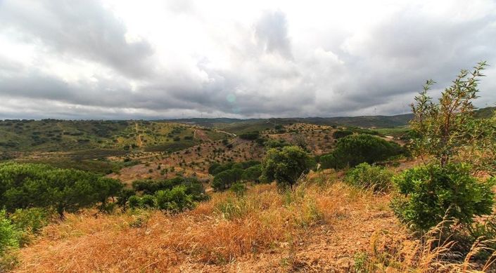 Image No.26-Terrain à vendre à Lagos