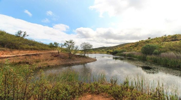 Image No.4-Terrain à vendre à Lagos