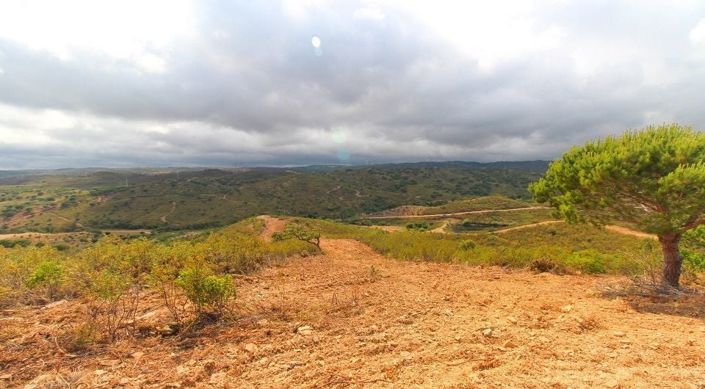 Image No.5-Terrain à vendre à Lagos