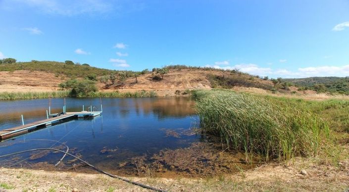 Image No.6-Terrain à vendre à Lagos