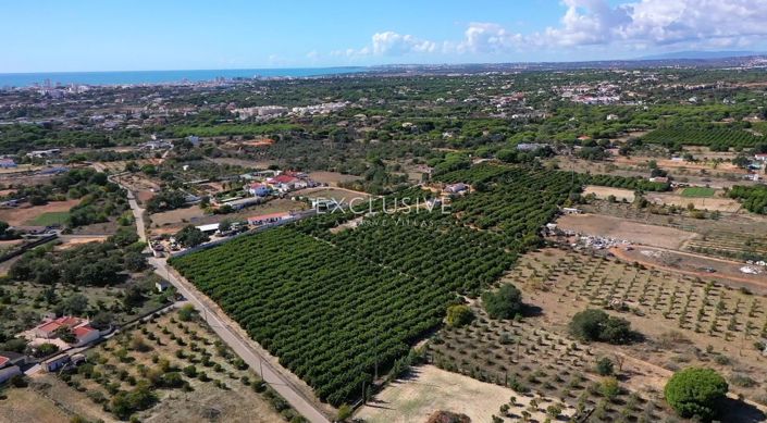 Image No.28-Plot for sale