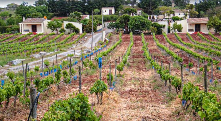 Image No.30-4 Bed Plot for sale