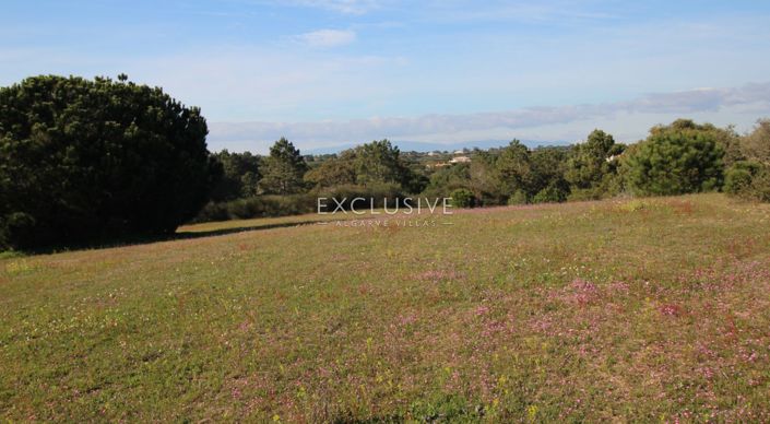 Image No.10-Terrain à vendre à Lagoa