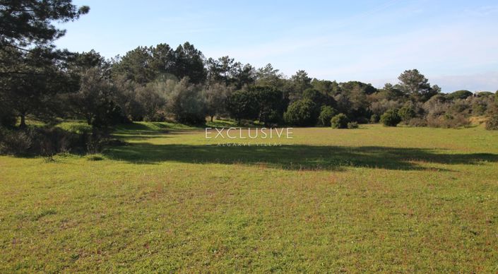 Image No.12-Terrain à vendre à Lagoa