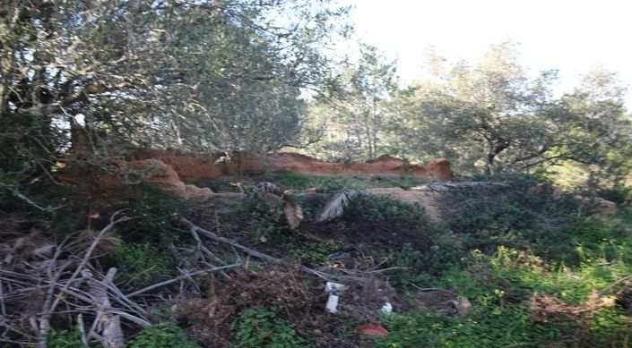 Image No.13-Terrain à vendre à Lagoa