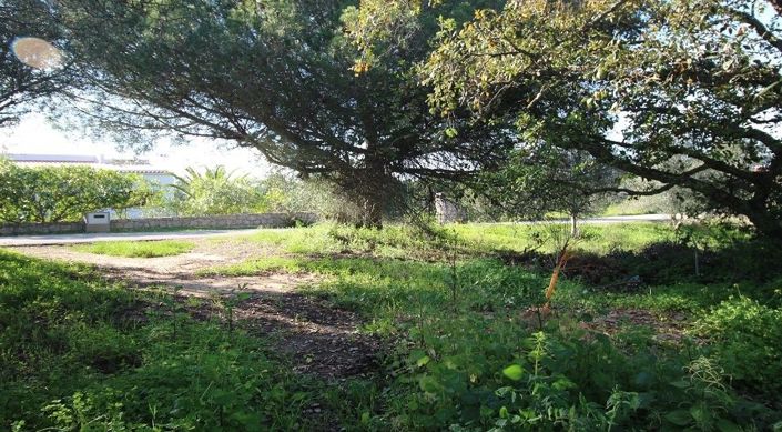 Image No.14-Terrain à vendre à Lagoa