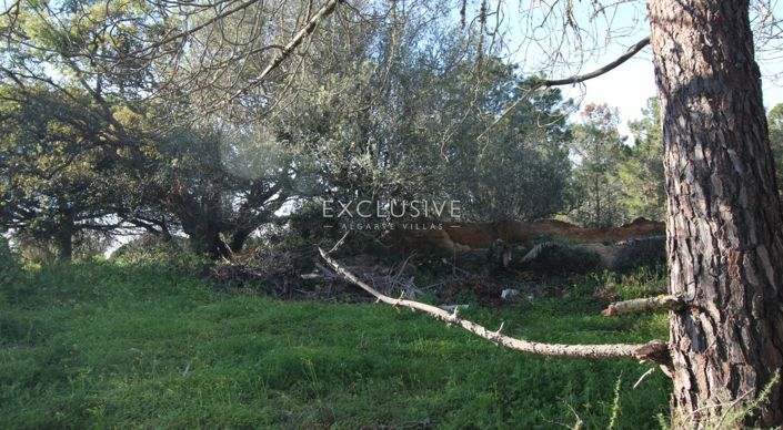 Image No.16-Terrain à vendre à Lagoa