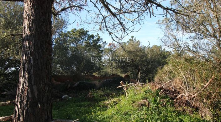 Image No.17-Terrain à vendre à Lagoa