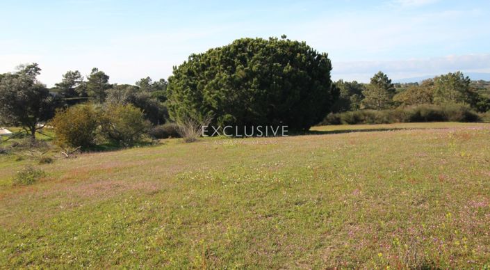 Image No.19-Terrain à vendre à Lagoa