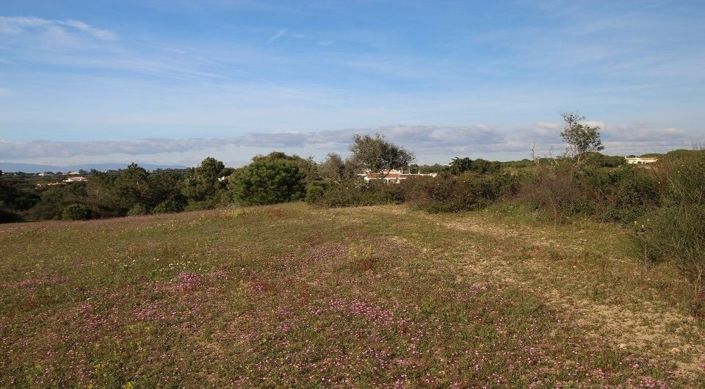 Image No.2-Terrain à vendre à Lagoa