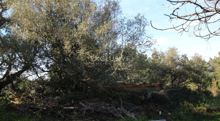 Image No.29-Terrain à vendre à Lagoa