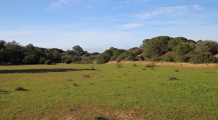 Image No.6-Terrain à vendre à Lagoa