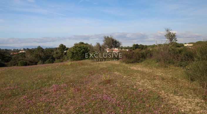 Image No.9-Terrain à vendre à Lagoa