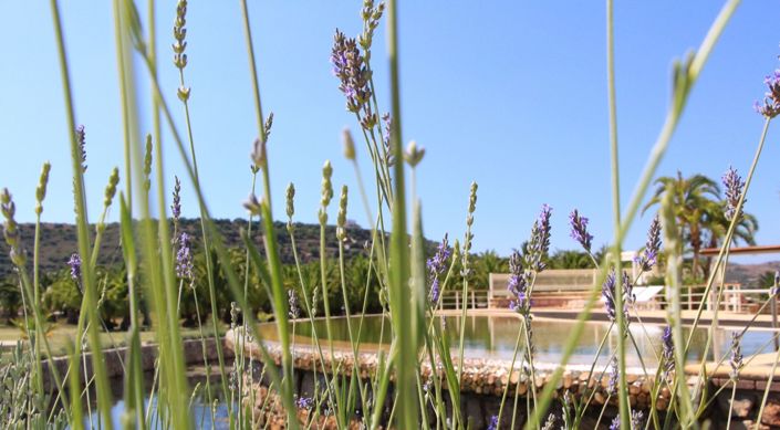 Image No.15-3 Bed Villa for sale