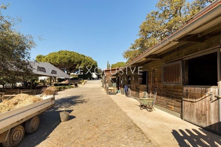 Image No.12-Villa de 7 chambres à vendre à Lagoa