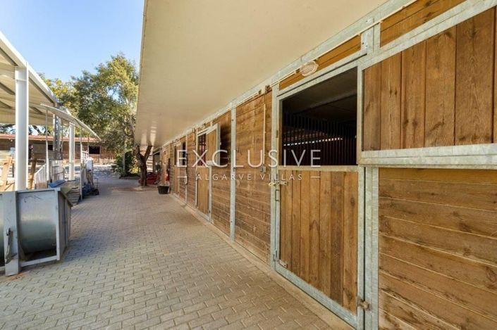 Image No.9-Villa de 7 chambres à vendre à Lagoa