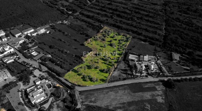 Image No.10-Plot for sale