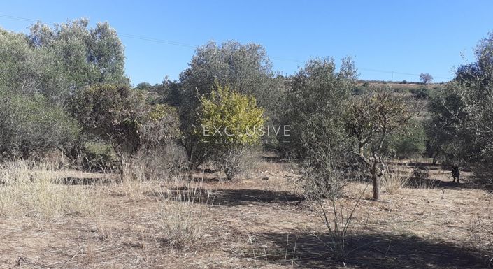 Image No.11-Terrain à vendre à Silves