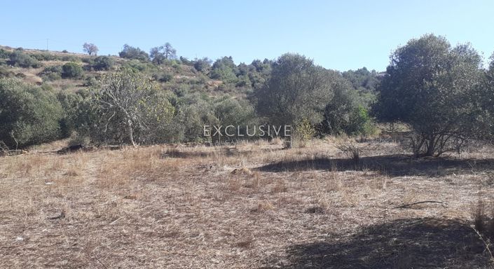 Image No.12-Plot for sale