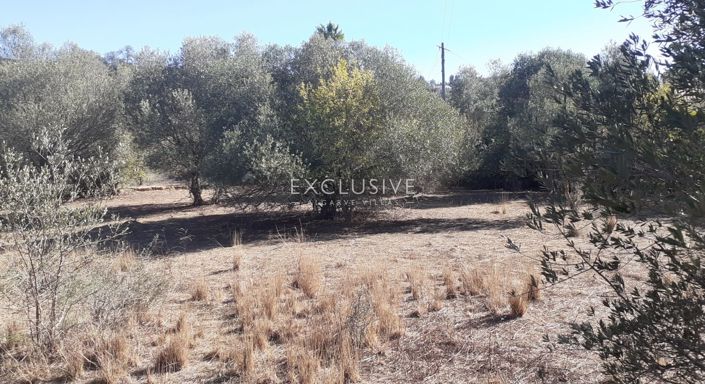 Image No.14-Plot for sale