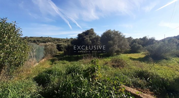 Image No.15-Plot for sale