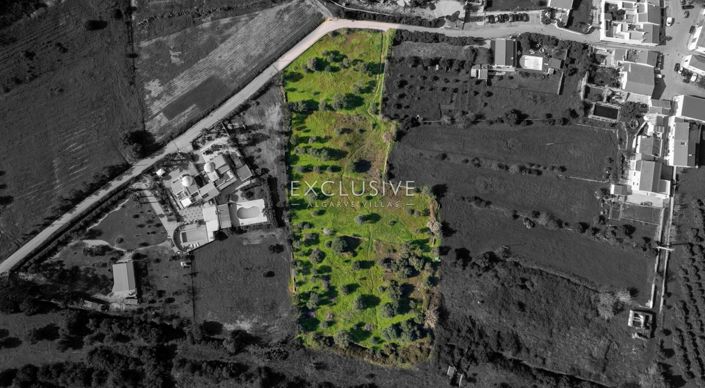 Image No.2-Plot for sale