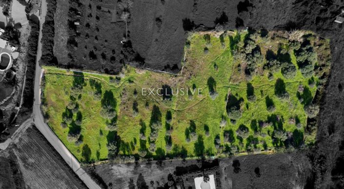 Image No.3-Plot for sale