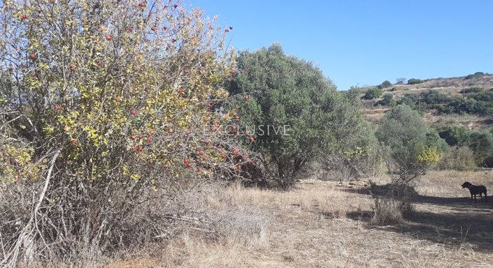 Image No.6-Terrain à vendre à Silves