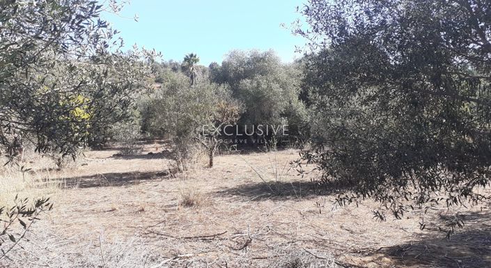 Image No.6-Plot for sale