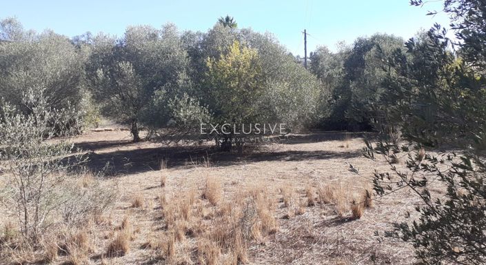 Image No.7-Plot for sale