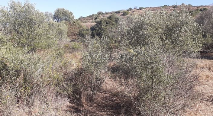 Image No.9-Plot for sale