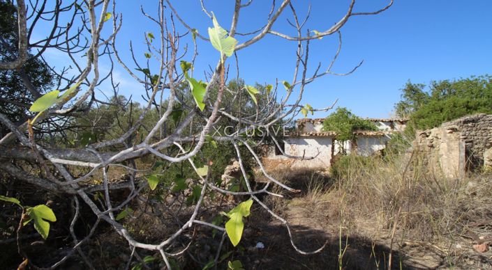 Image No.13-Plot for sale